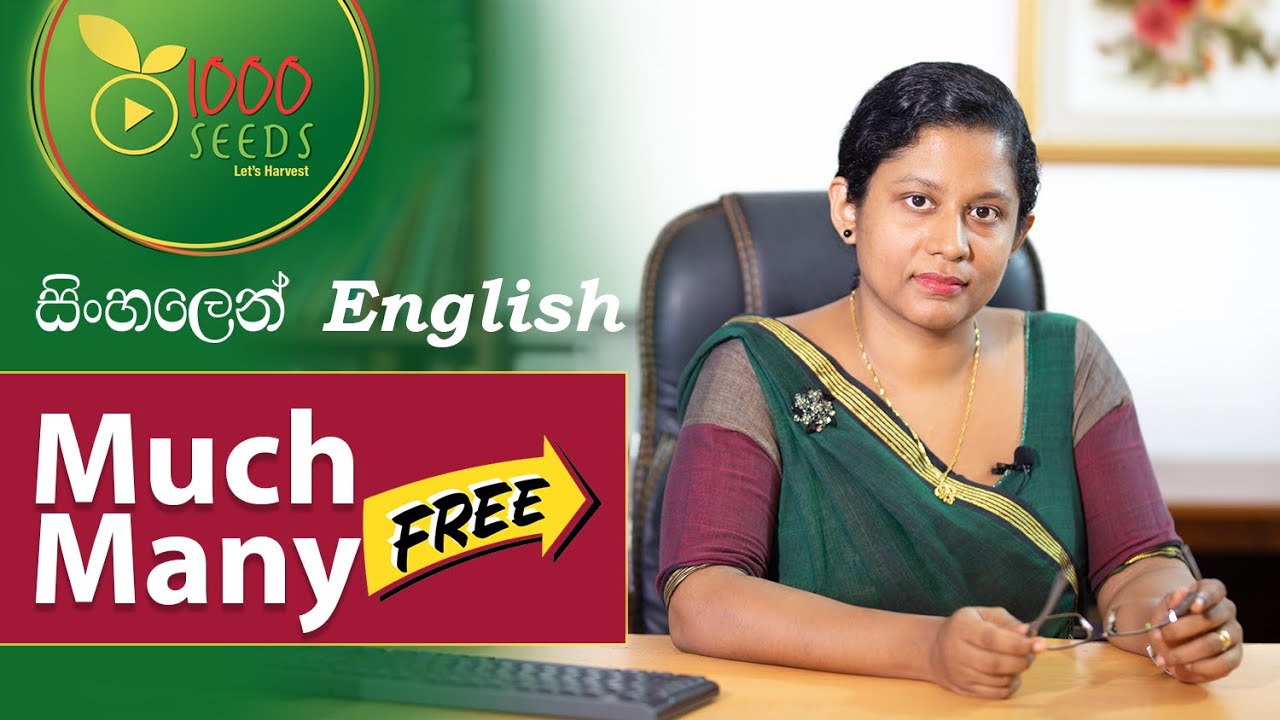 Much, Many - How to use accurately in a sentence - Learn English Easy Way