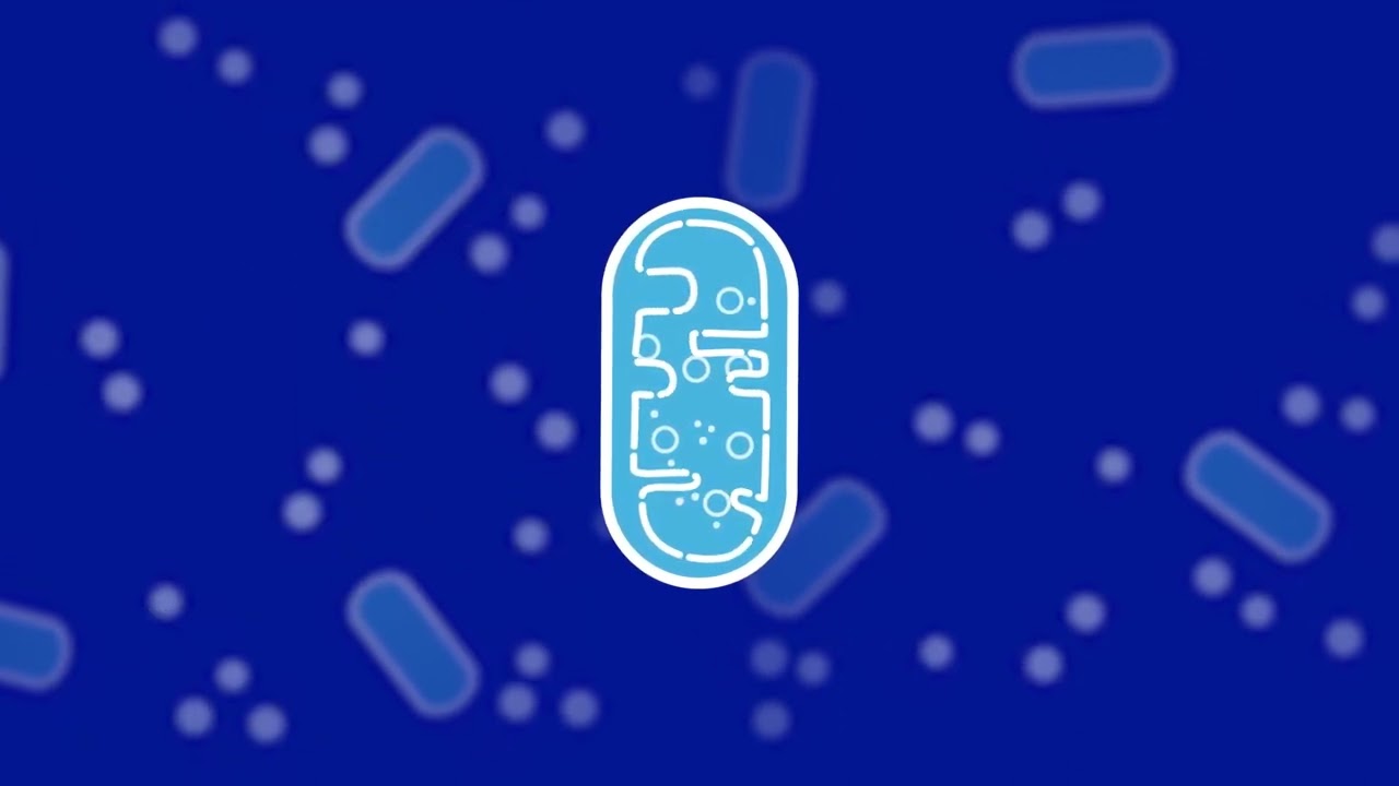 Mitochondrial Health: Help maintain mitochondrial function with NAD+ boosting