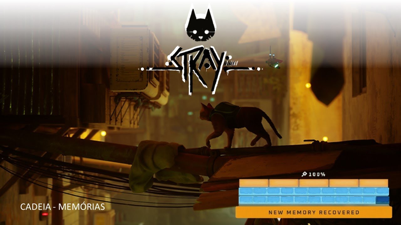 Stray - Cadeia - Memória