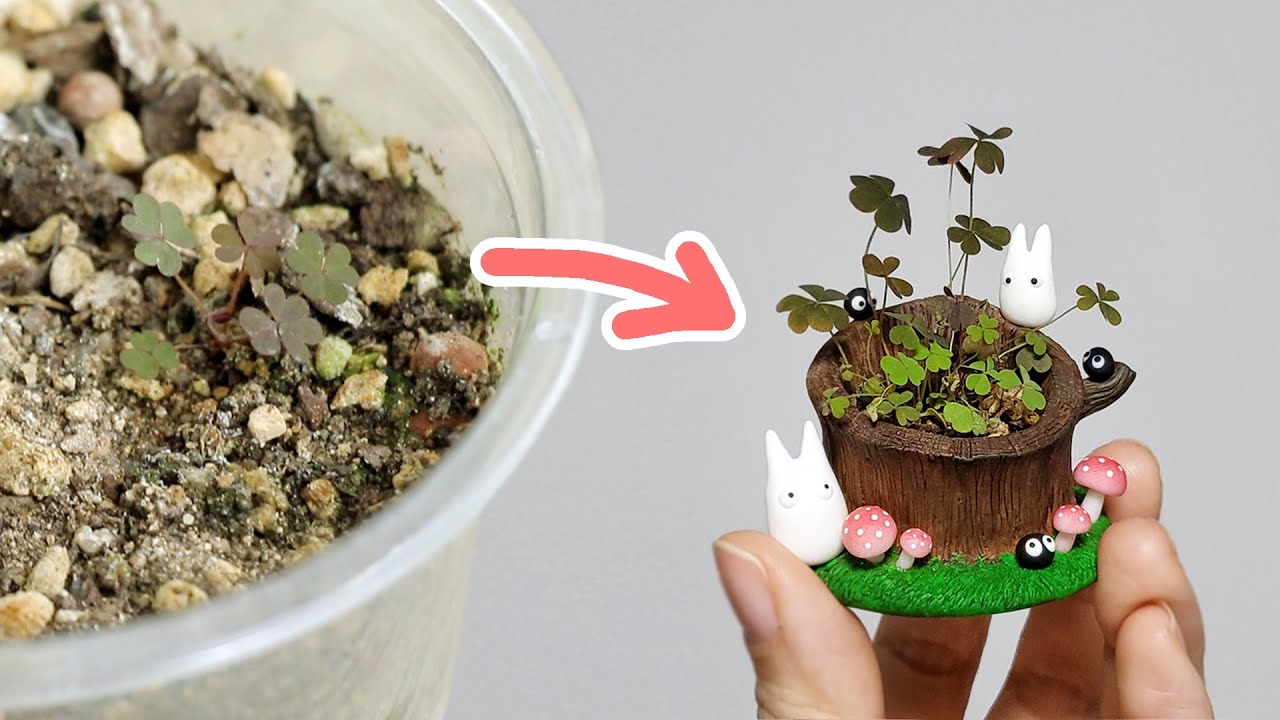 클로버인 줄 알았던 괭이밥 이사 시켜주기🍀