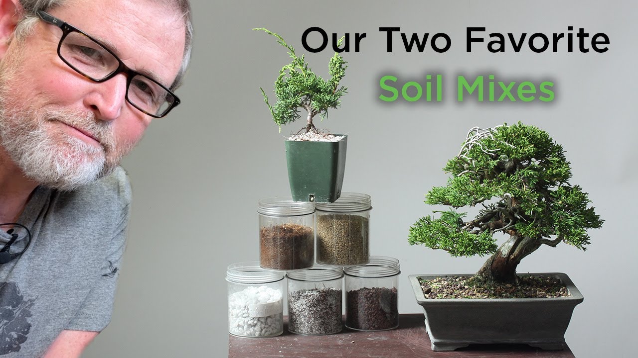 Bonsaify | Eric Answers a Common Bonsai Question: What SOIL to Use and Why!