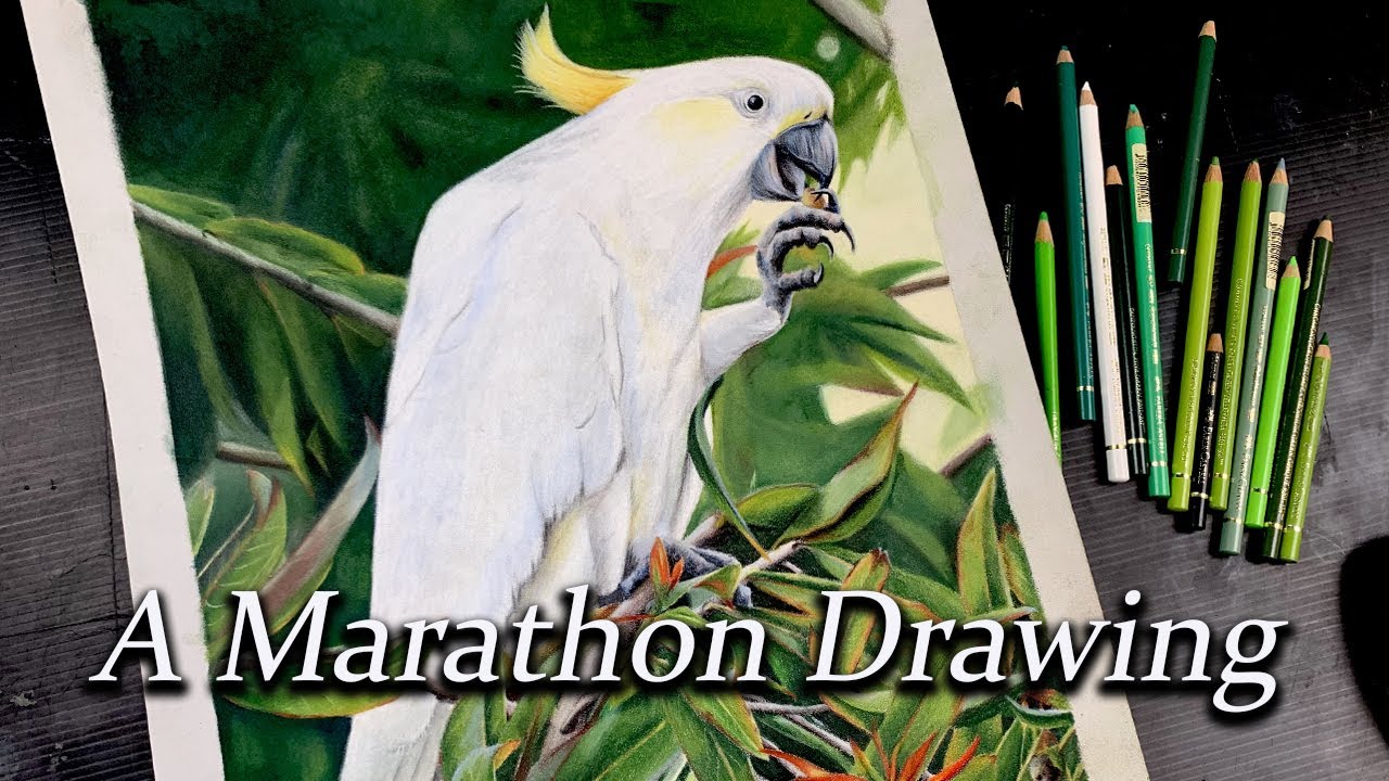 Drawing a cockatoo - Using Color pencils on Pastelmat