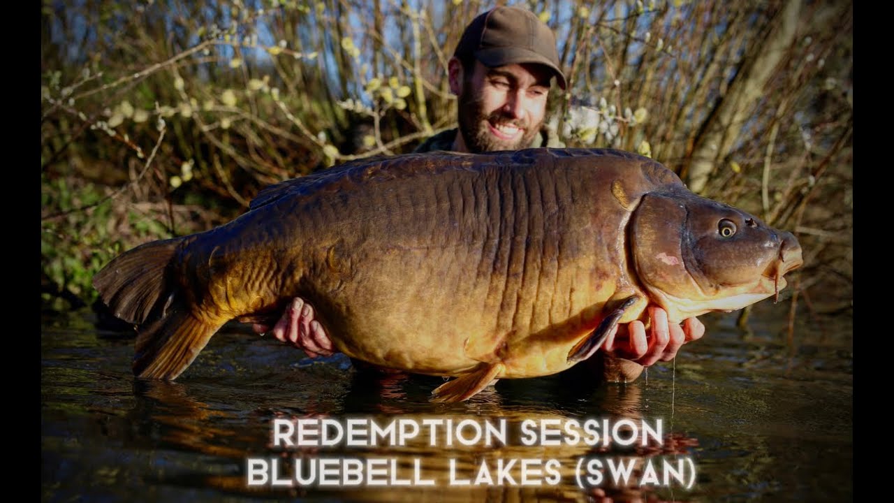 Archie B - Redemption Session (Bluebell Lakes - Swan)