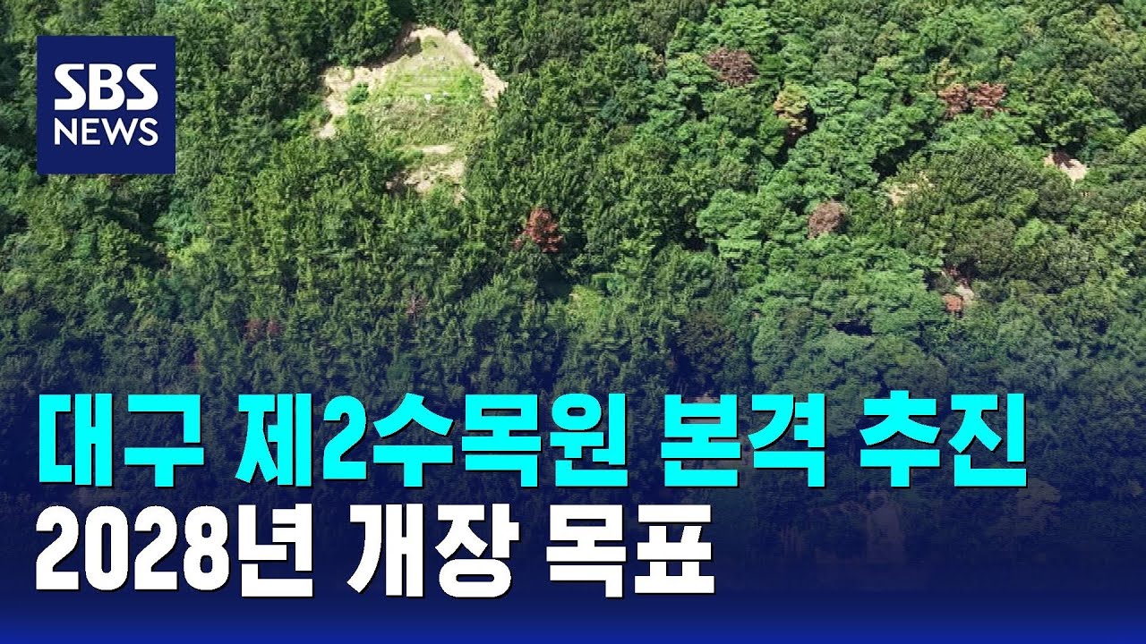 팔공산 자락에 '힐링 공간'…대구 제2수목원 본격 추진 / SBS