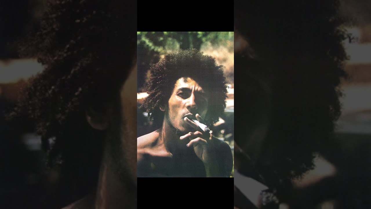 Bob Marley - Is this love (sped up)
