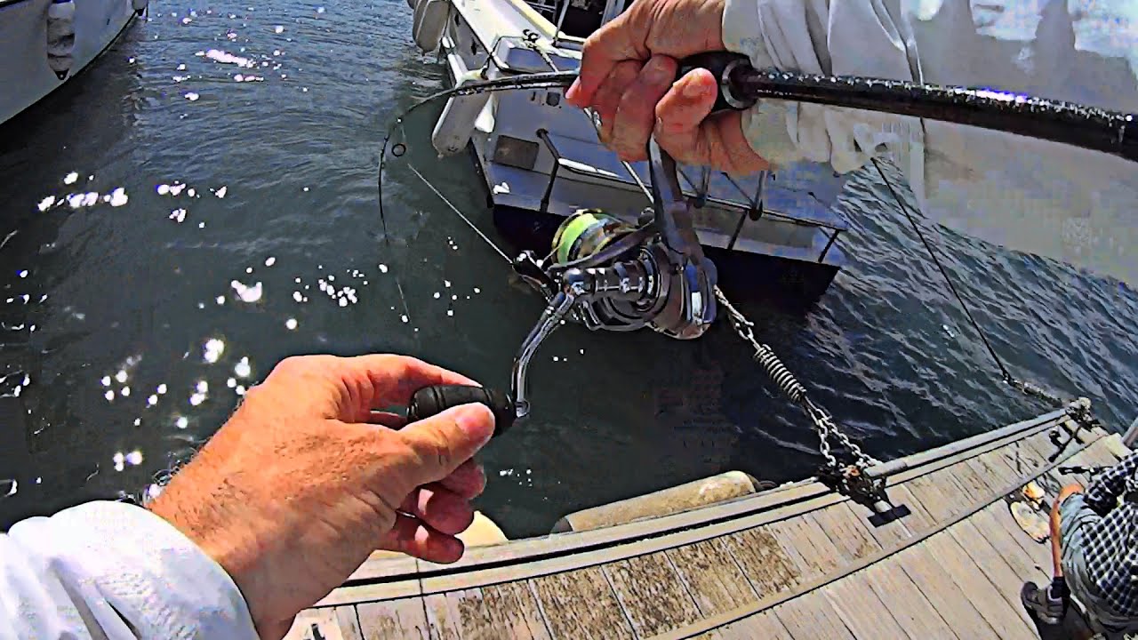 [PESCA a NATURALCASTING con LANGOSTINO/CANGREJOS PARTIDOS] Quien sacara the big MAMA JOAN o el MENDA