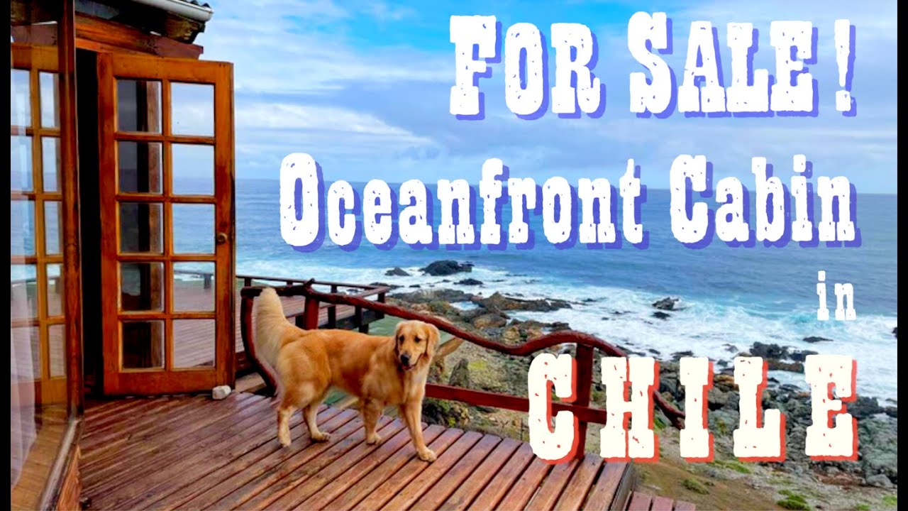 For Sale! Oceanfront Cabin in Dog Friendly Chile