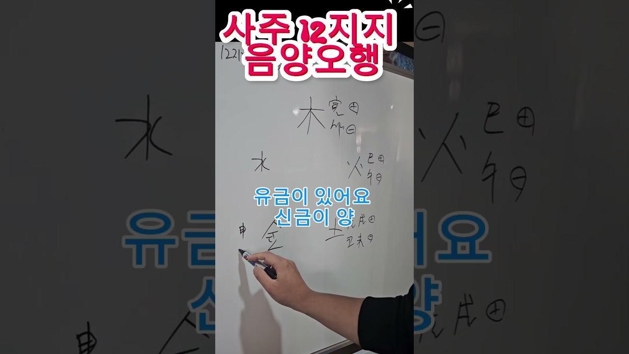 사주기초 12지지 음양오행 알아보기. #사주카페이령 #12지지 #십이지지 #음양오행 #사주강의 #지지 #사주 #명리 #이천시 #사주카페