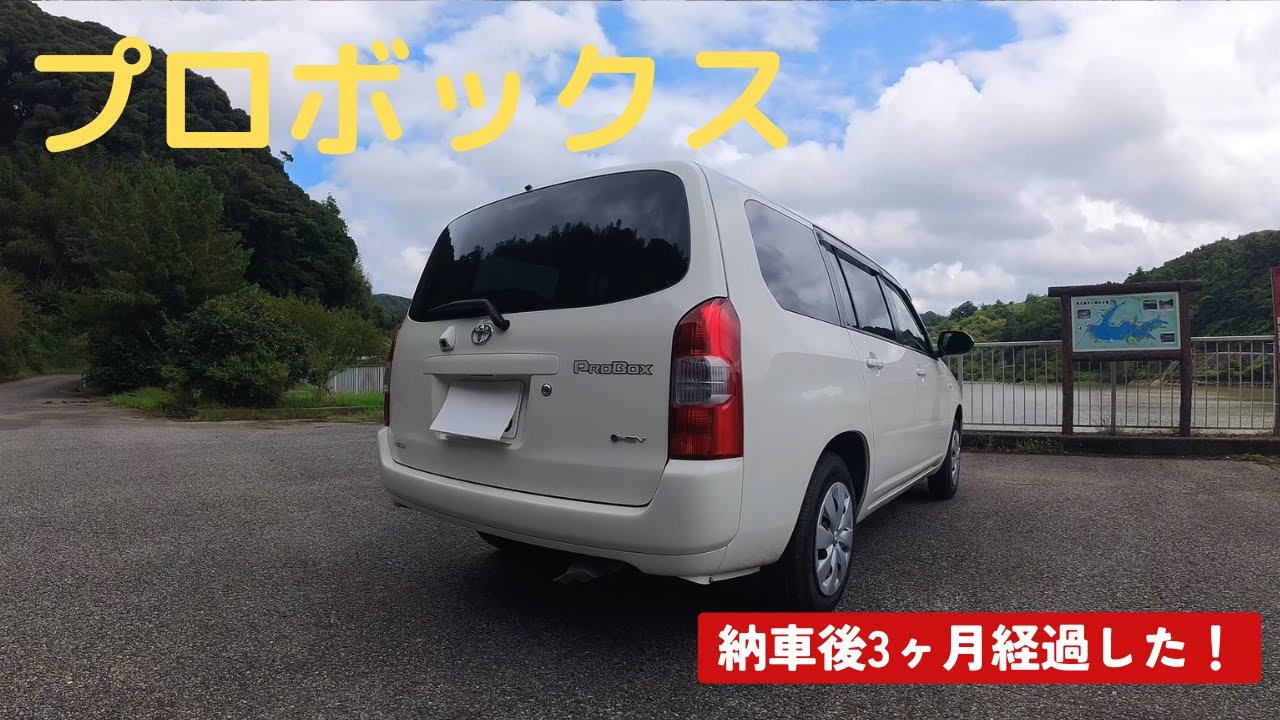 プロボックス3か月乗った感想とコスモス撮影とZ50Ⅱのお話し