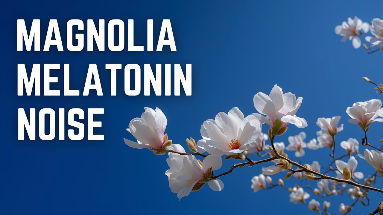 MAGNOLIA MELATONIN NOISE | 12 Hrs | No Midway Ads | Black Screen | Sleep/ Relax/ Cam Anxiety/ Focus