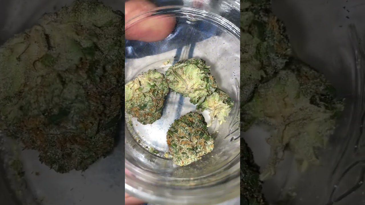 Strain : Northern Lights 🌈🌲✨ by: Modern Flower / grown by Trulieve #medicalmarijuana