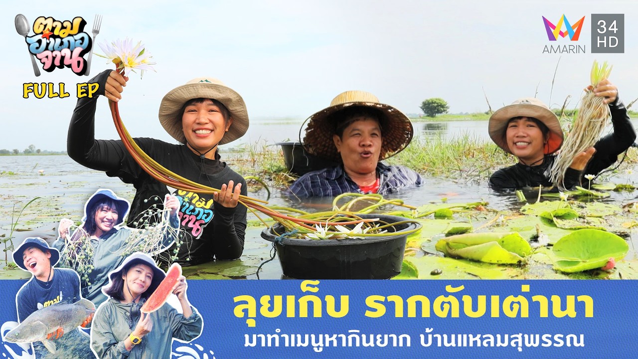 ลุยเก็บ รากตับเต่านา มาทำเมนูหากินยาก บ้านแหลมสุพรรณ | ตามอำเภอจาน | 2 ธ.ค. 68 Full EP