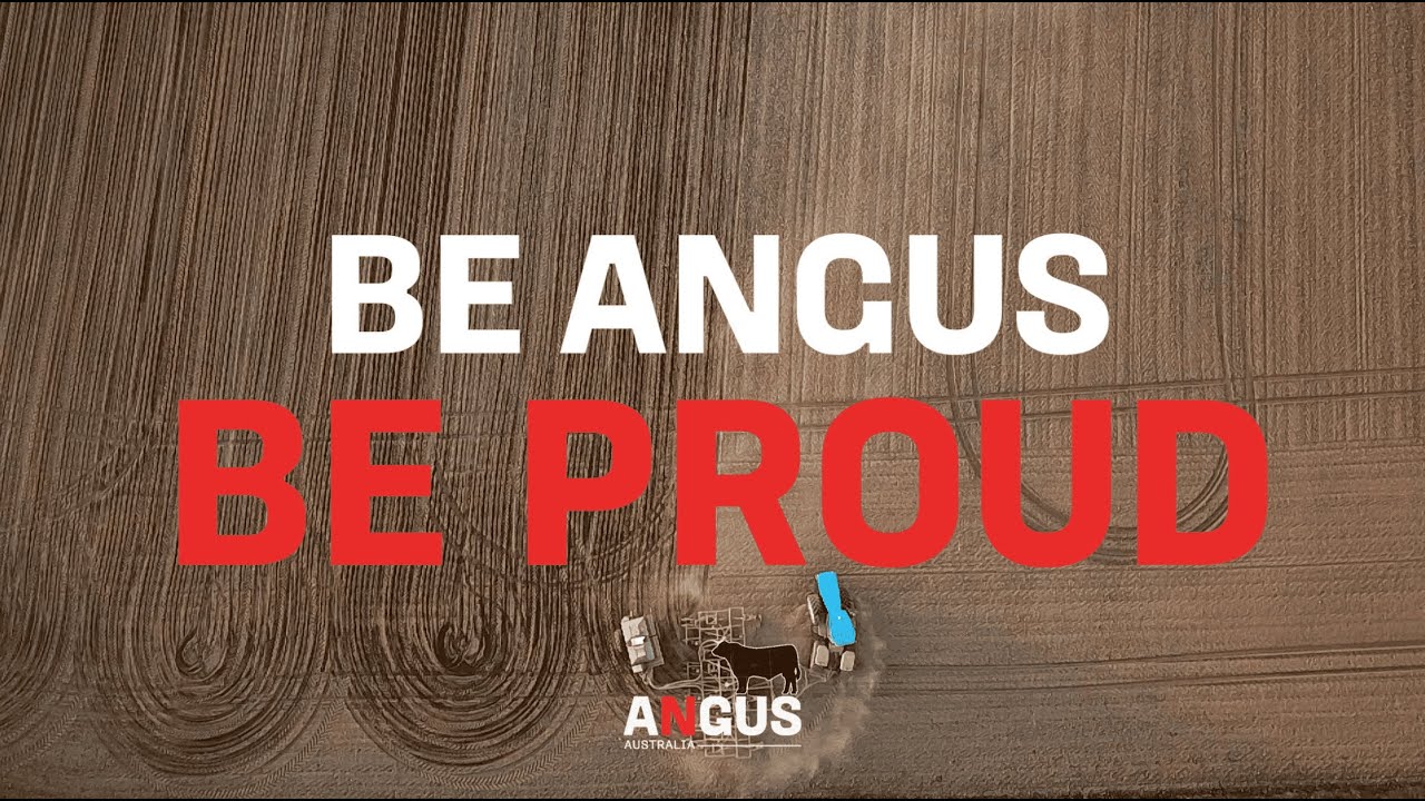 Be Angus Be Proud | Booragul Angus