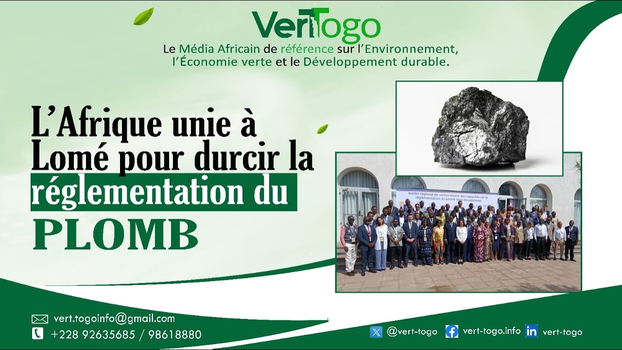 À Lomé, l’Afrique s’unit pour renforcer la réglementation sur la peinture au plomb