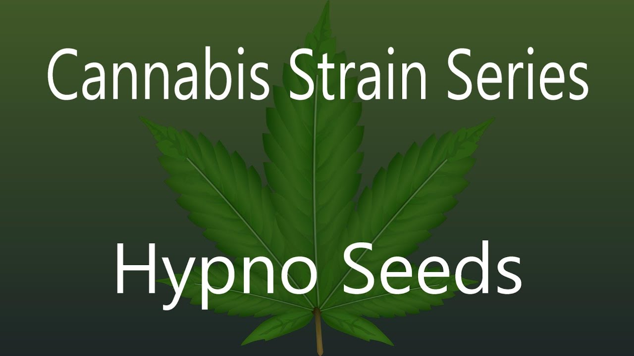 Hypno Seeds - Cannabis Strain Series