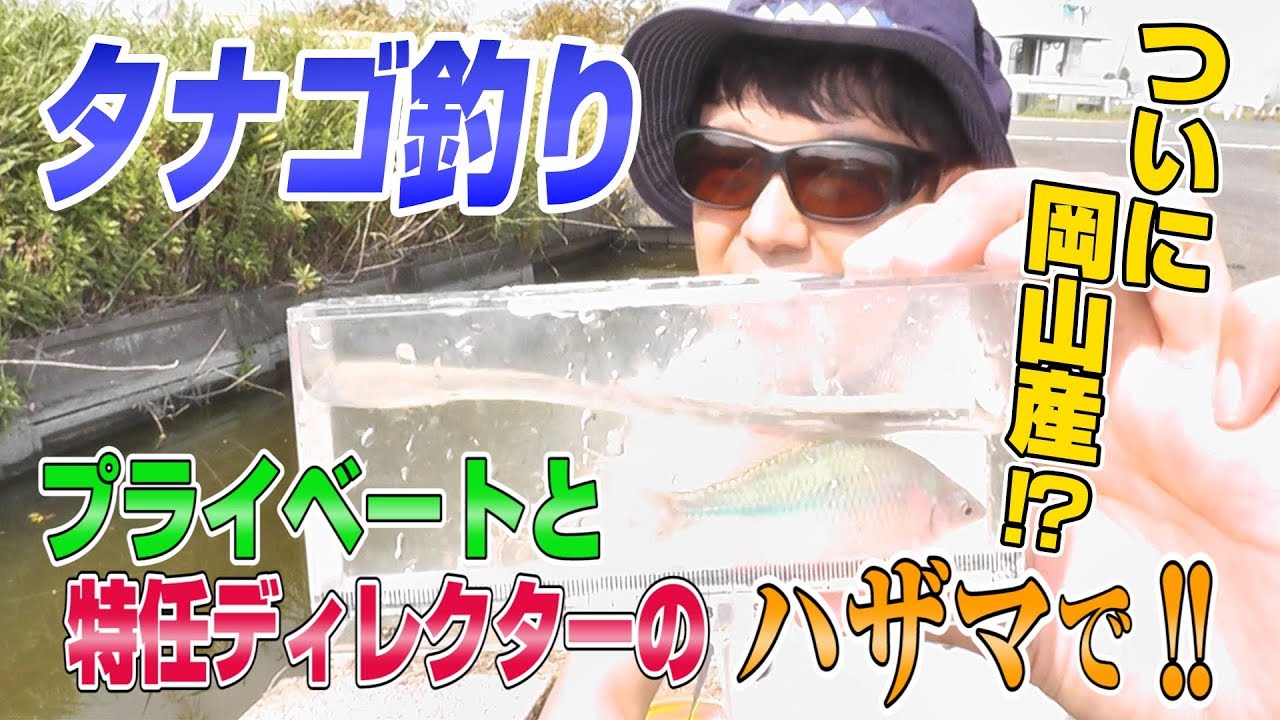 【渋川マリン水族館3】岡山産カネヒラ登場／佐久間一行