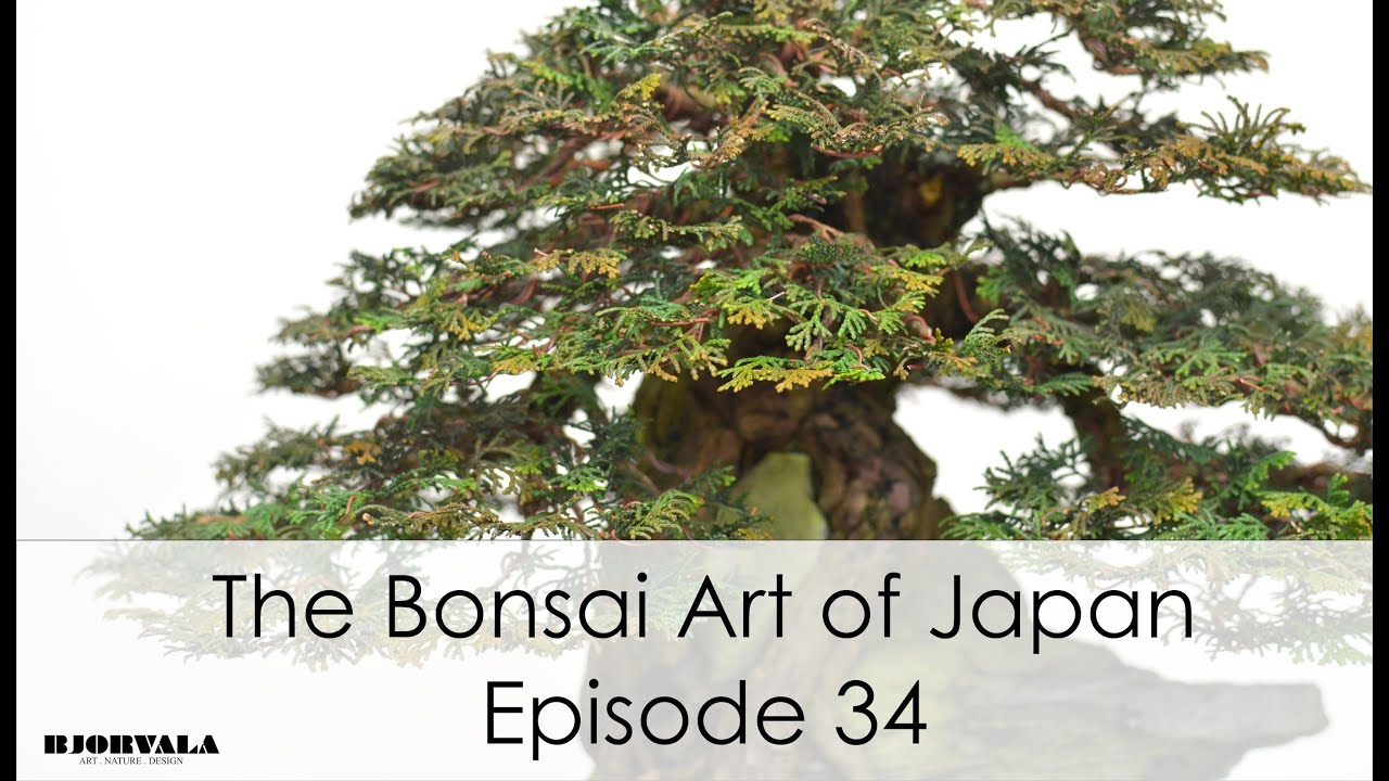 The Bonsai Art of Japan - Episode 34