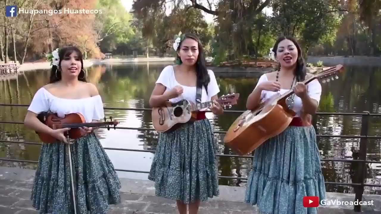Escuchemos Huapangos Huastecos!