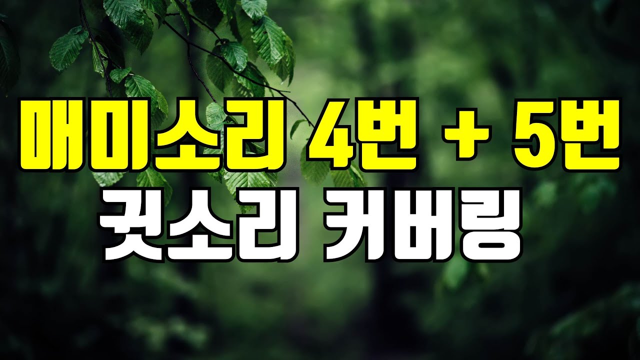매미소리 4번 + 5번 - 귀를 찌르는 날카로운 고주파 귓소리(삐소리, 윙소리, 웅소리)를 덮어주는 커버링 사운드