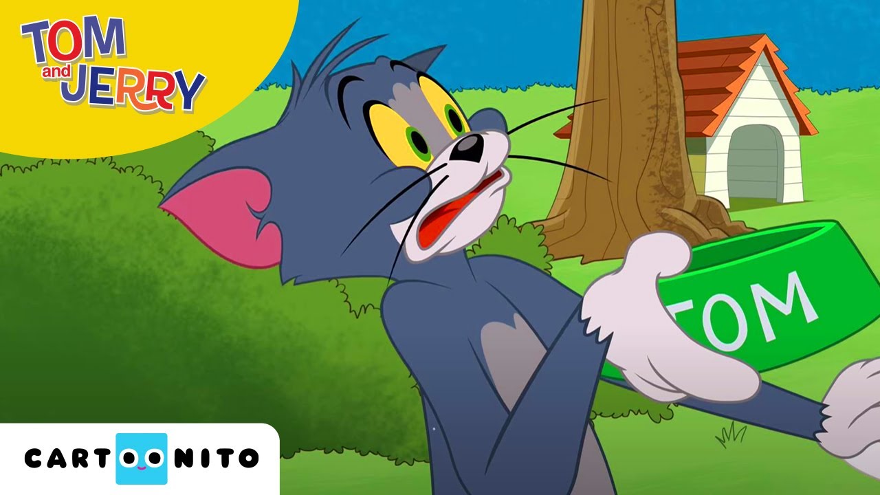 A Tom és Jerry-show | Madáritató-blues | Cartoonito