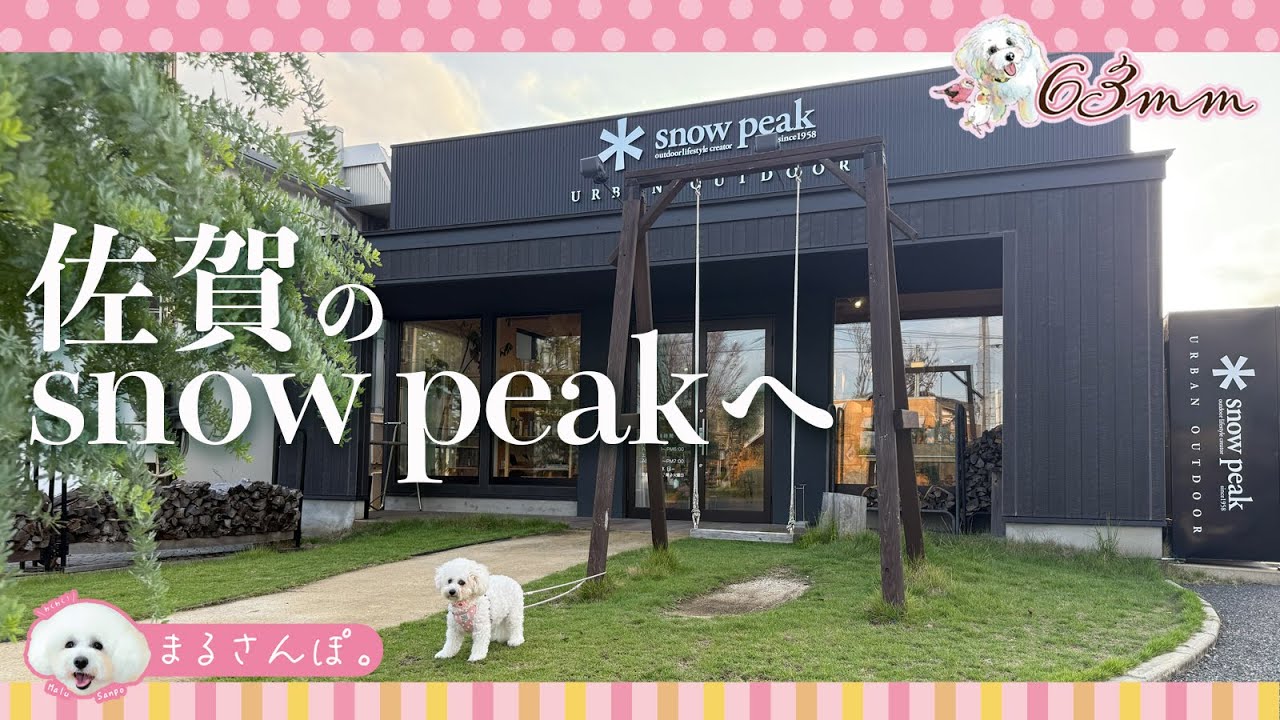 【まるさんぽ】佐賀のsnow peakへあるものを買いに。まるそっくりのコーヒーゼリーをいただきに ふらりとcafe #ボロニーズのMalu