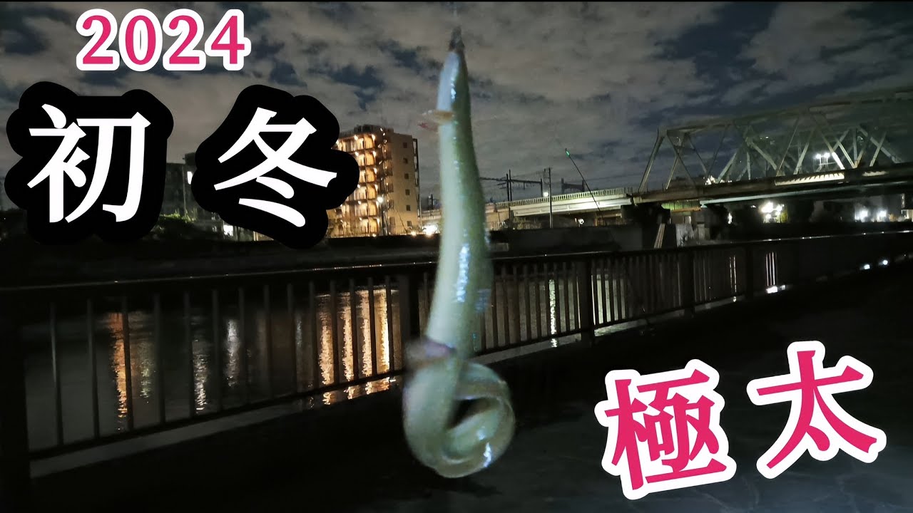 【うなぎ釣り】寒うなぎシーズンへの序章！良型、極太が釣れる。