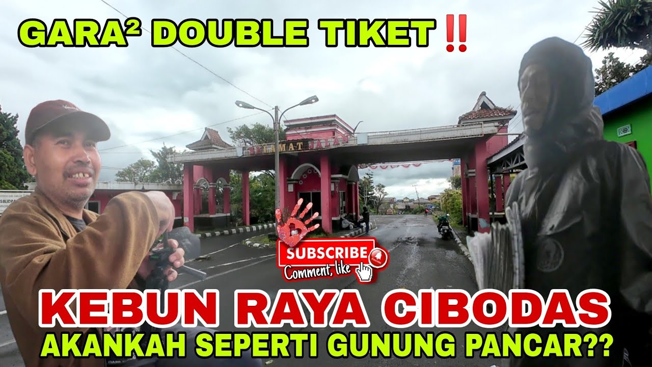 kebanyakan tiket‼️kebun raya cibodas puncak sepi, alankah seperti gunung pancar ???