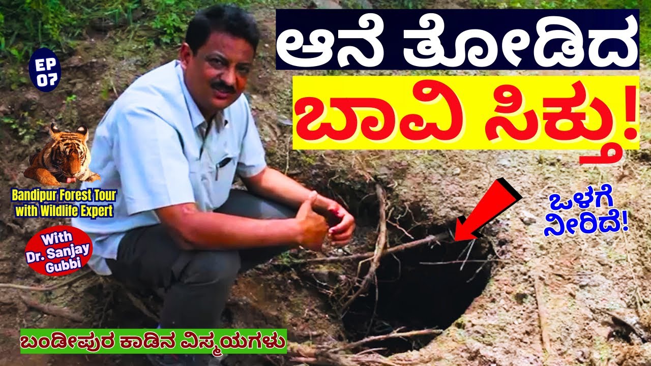 'ಕಾಡಲ್ಲಿ ಒಂಟಿಸಲಗ ತೋಡಿದ ಬಾವಿ ಸಿಕ್ತು!!'-E07-Dr.Sanjay Gubbi-Bandipur Forest Tour-Kalamadhyama-#param