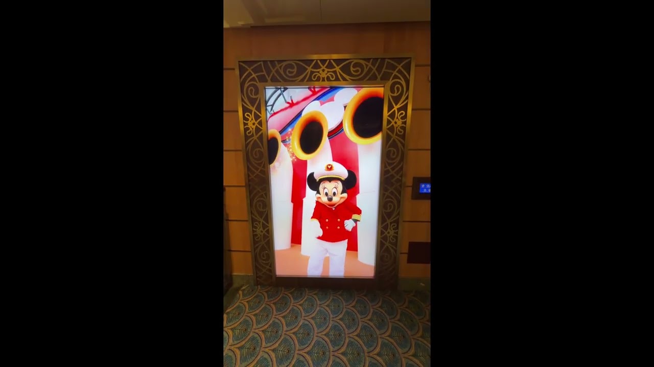 DVC Promotion Videos - Disneys Fantasy Cruise Ship 01-30-2026