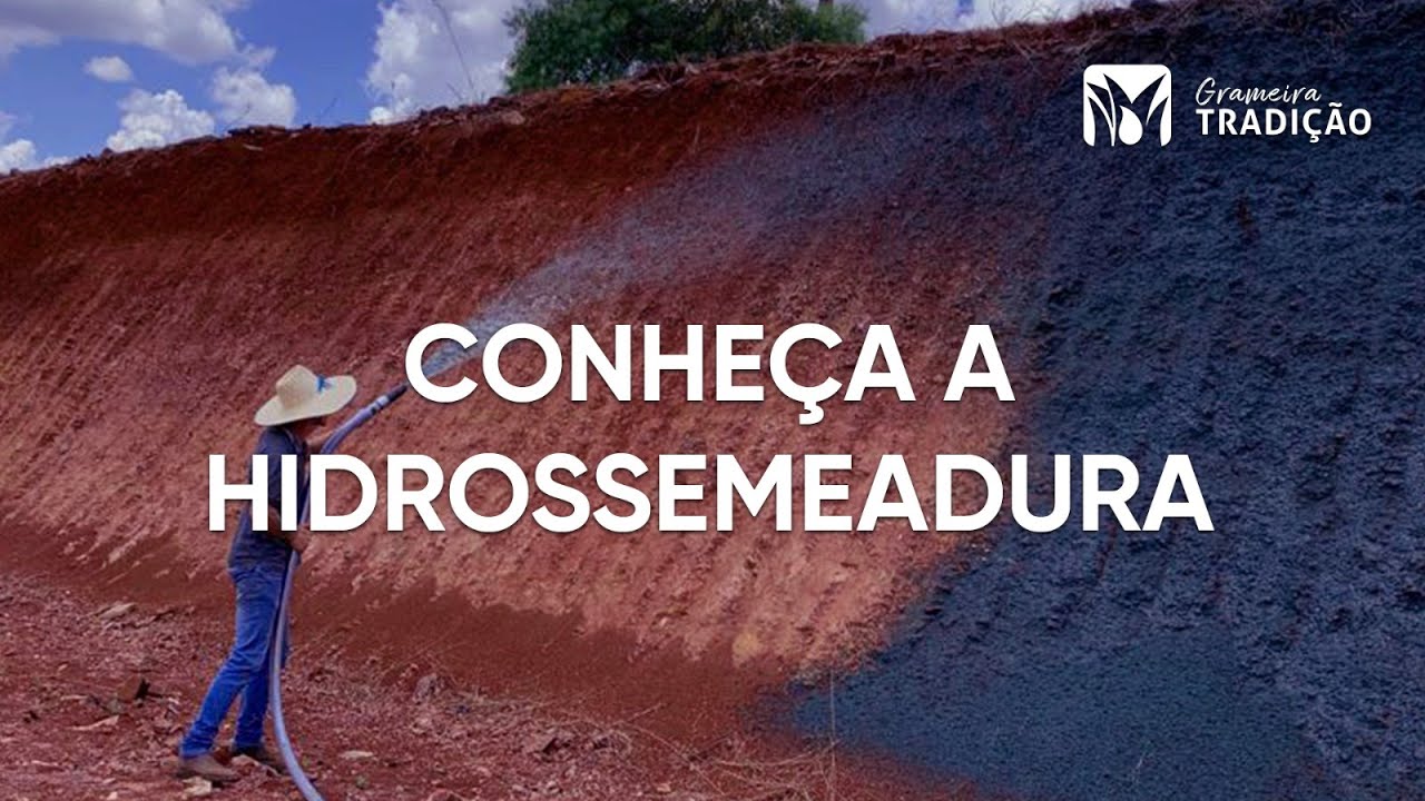 Conheça a HIDROSSEMEADURA! Recomposição vegetal para grandes obras!