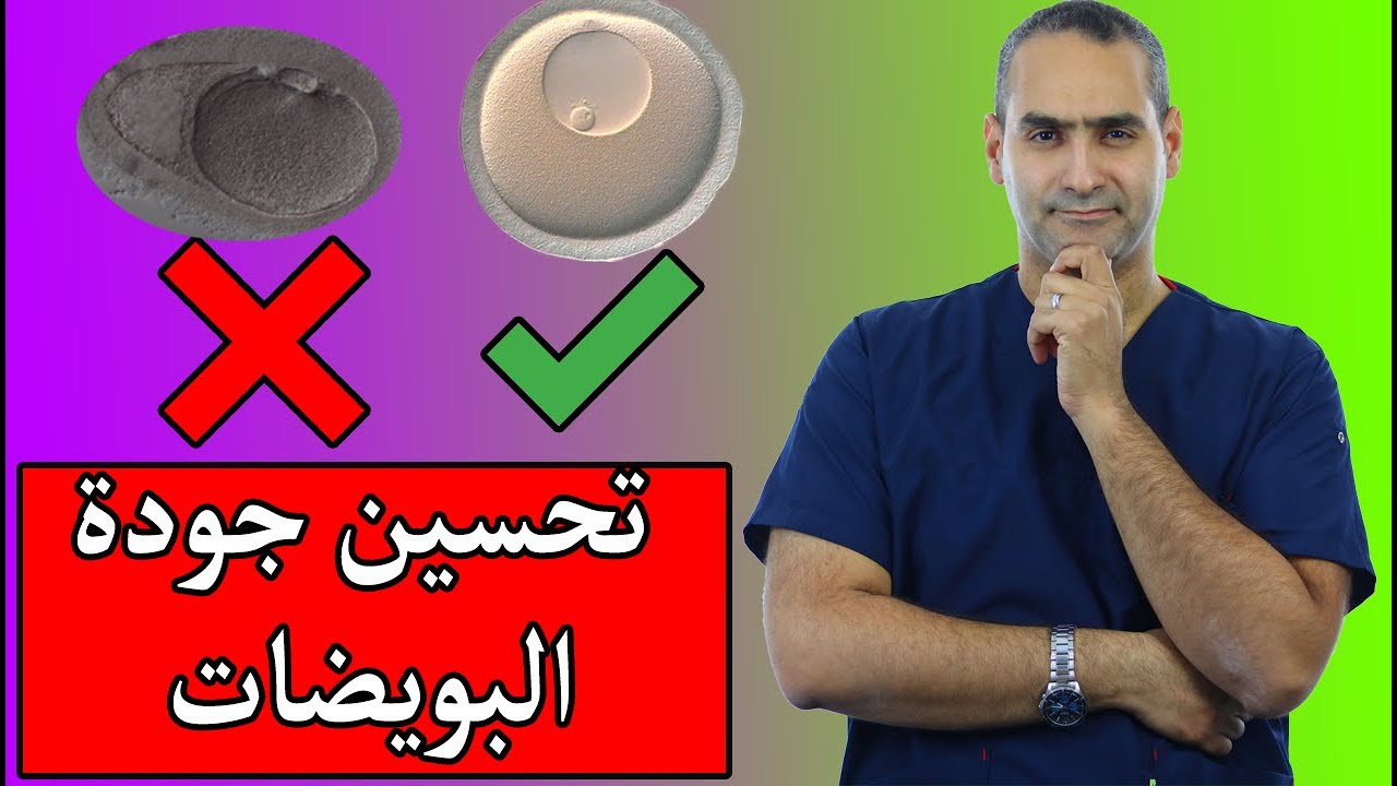 كيف تحسني جودة البويضات - د. احمد حسين