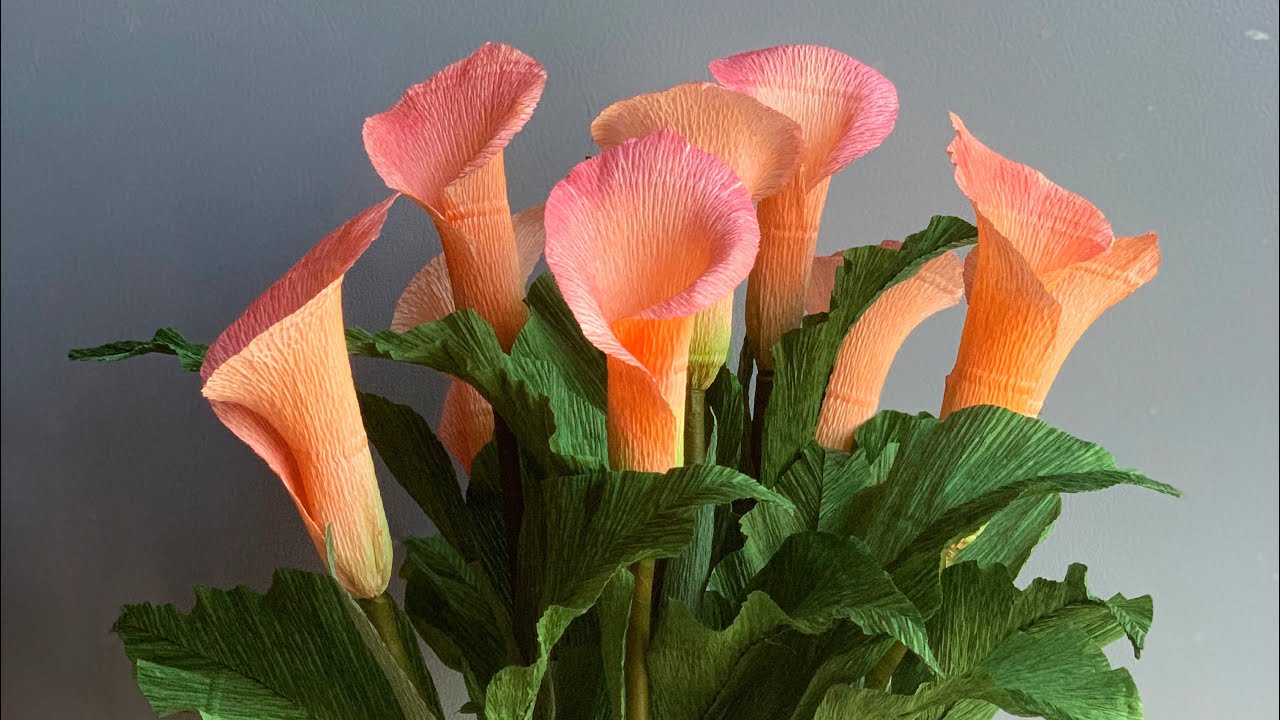 Bella’s Craft/ How to make calla lily by crepe paper/ Hướng dẫn làm hoa rum bằng giấy nhún