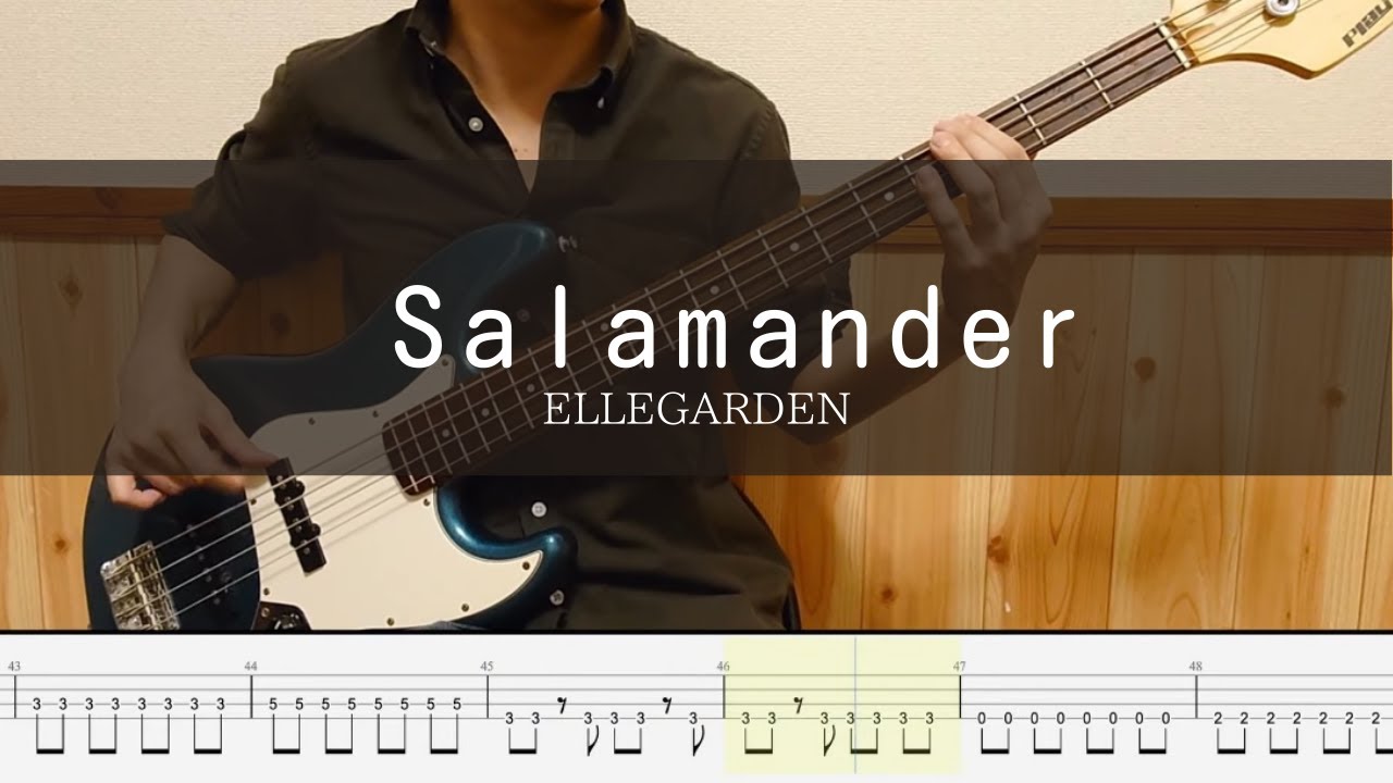ELLEGARDEN - Salamander - Bass Cover 弾いてみた