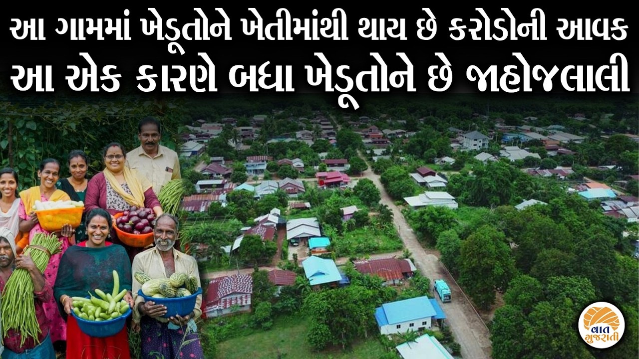 આ કારણે ગામમાં બધા ખેડુતને ખેતીમાંથી થાય છે કરોડોની આવક | Farmers | Village