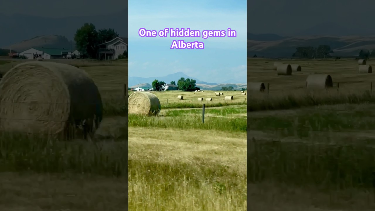 A small town in Alberta. #critiquechampion #review #hiddengems #foryou #shortsfeed #shorts