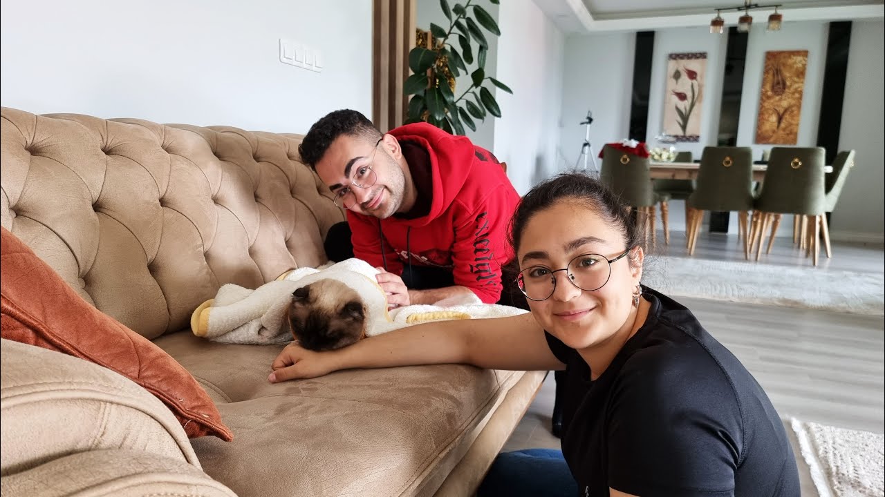 KEDİMİZ GOFRETİ TIRAŞ ETTİRDİK ! ÇOK ÜZÜLDÜK