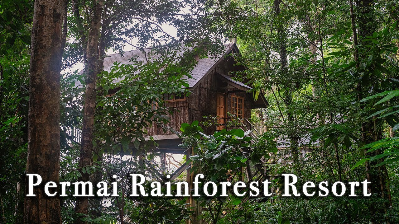 Permai Rainforest Resort Kuching Malaysia【Full Tour in 4k】