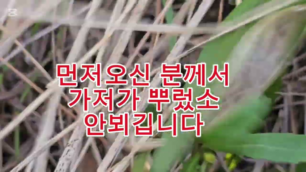 #여수낭도 #오랜만에산책한번했습니다