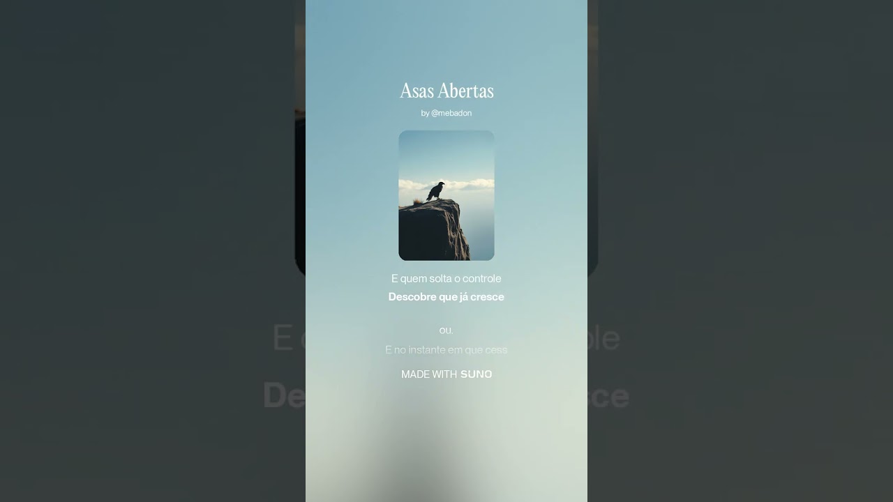 Asas Abertas