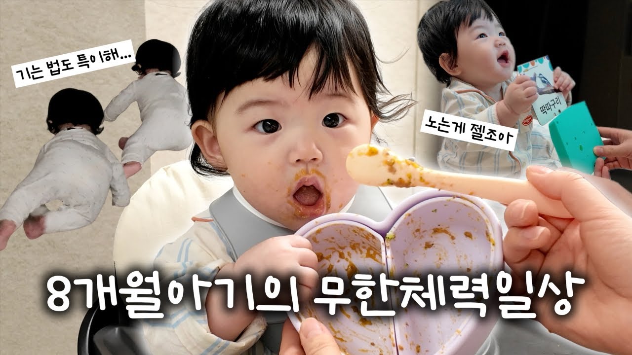 육아브이로그👶🏻 8개월아기의 하루 | 무한체력 아기 | 엄마껌딱지 | 일상브이로그