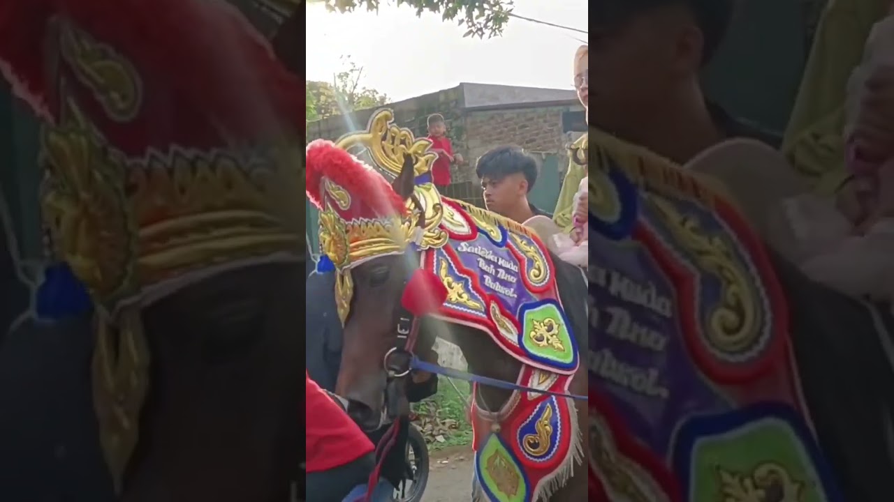 kuda sadewa muda #shorts #shortvideo #kudarenggong #kudasadewamuda