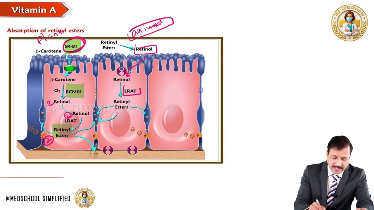 3. Vitamin A 👁️Functions, Deficiency & Toxicity, Fat-Soluble Vitamins | MBBS Biochemistry USMLE