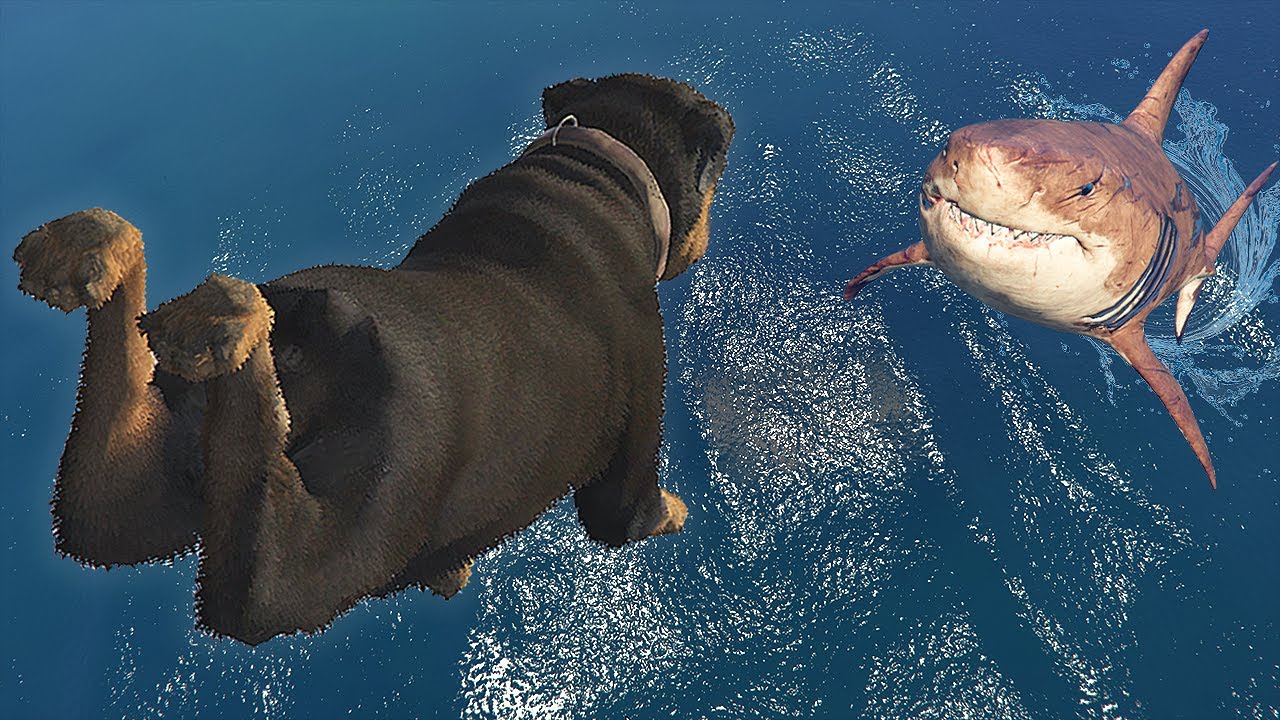 GTA 5 FAILS & WINS: #62 (BEST GTA V Funny Moments Compilation)