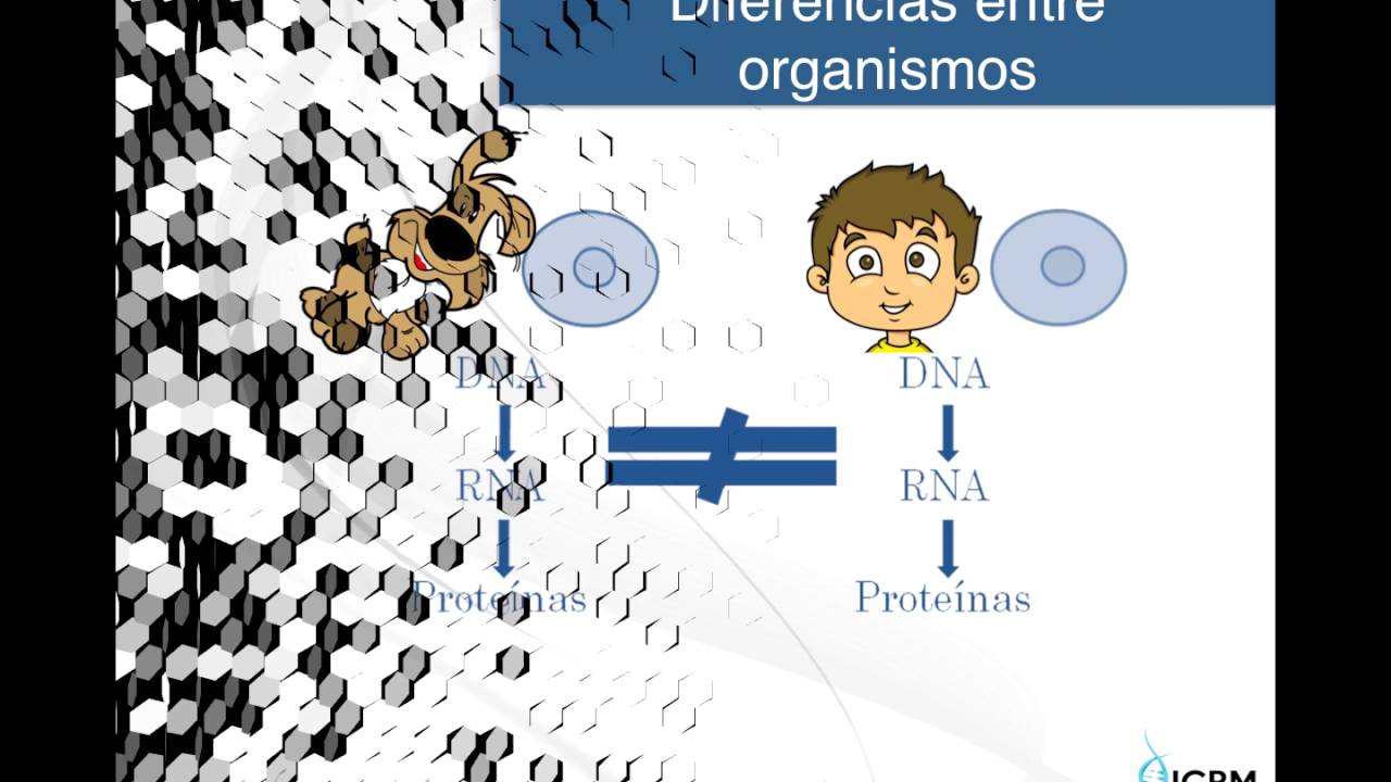 El Dogma de la biología Molecular