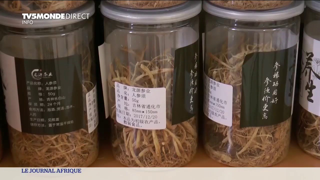 La médecine chinoise en vogue à Dakar