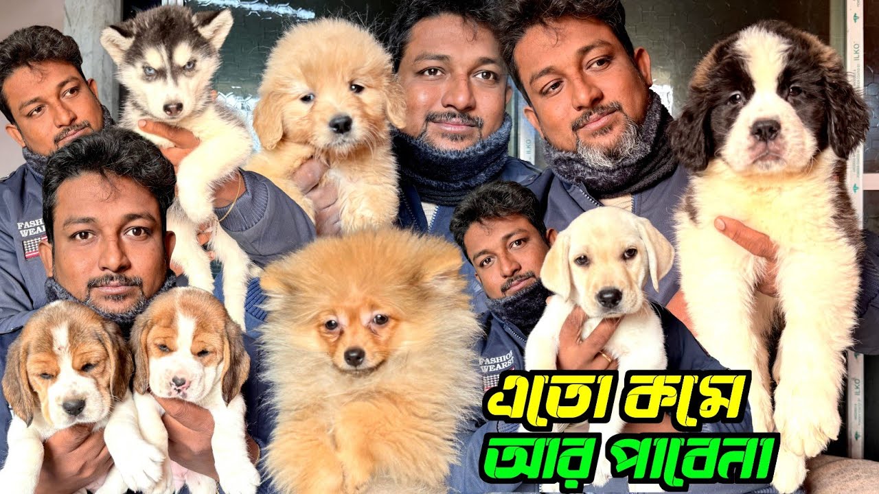 Cheap and Best Quality Puppies Sale. Dog Market in Kolkata Price. Kolkata Dog Market.