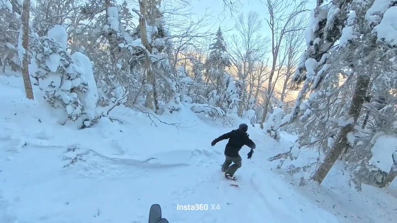 Stowe Laps - Haychute to Goat Woods🪾🪵