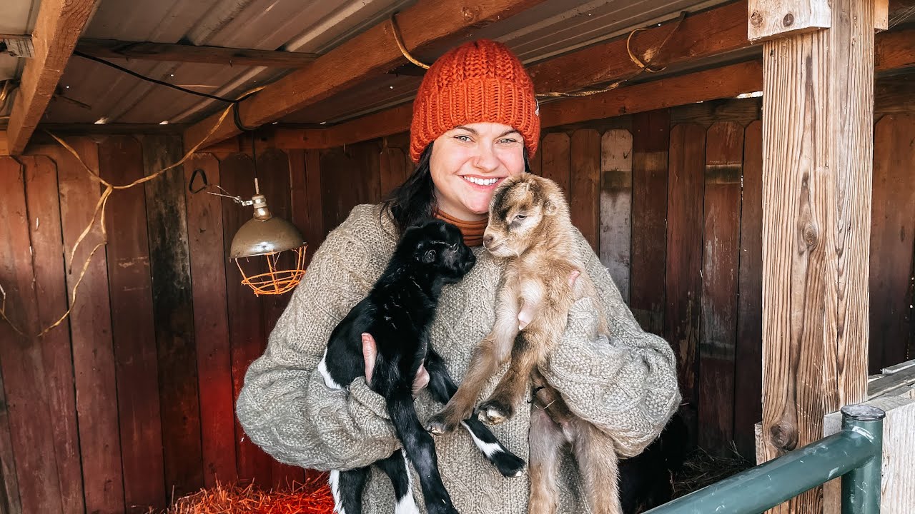 Surprise GOAT BABIES! (Kidding 2021 has BEGUN) | VLOG
