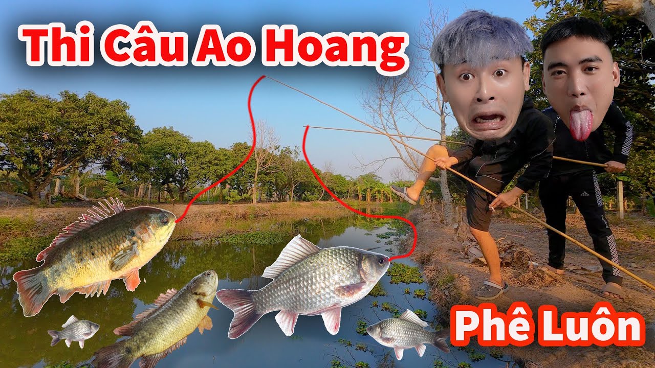 Hậu Cáo - Ra Ao Bỏ Hoang Thi Câu Cá Diếc Với Rô Đồng Cực Phê