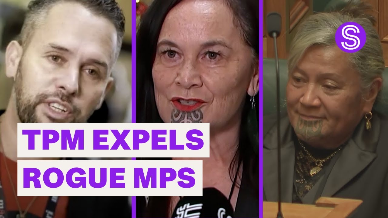 ‘Rogue’ MPs vow to fight after expulsion from Te Pāti Māori | Stuff.co.nz